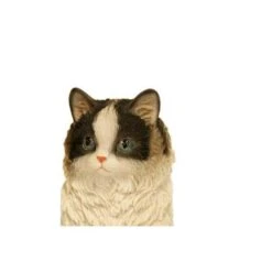 Prachtig Katje - Beeld 5 Prachtig Katje - Beeld -Oasis Winkel perzische kat levensecht 1484056610 2 600