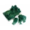 Decoratieve Pluimen - Groen 1 Decoratieve Pluimen - Groen -Oasis Winkel pluim flats groen 1589883415 1 600