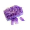 Decoratieve Pluimen - Lila 2 Decoratieve Pluimen - Lila -Oasis Winkel pluim flats lila 1589879554 1 600