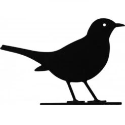 Silhouet Merel 5 Silhouet Merel -Oasis Winkel silhouet merel 1484053226 2 600