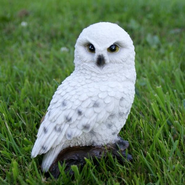 Sneeuwuil Op Stam 5 Sneeuwuil Op Stam - Afbeelding 3