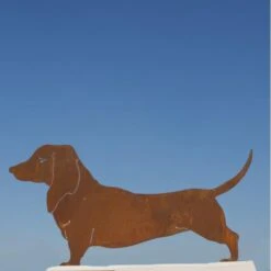 Teckel - Decoroest -Oasis Winkel teckel decoroest 1519817926 3 600