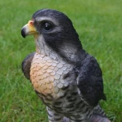 Valk Tuinbeeld 26 Cm 10 Valk Tuinbeeld 26 Cm -Oasis Winkel valk tuinbeeld 1569494205 2 600