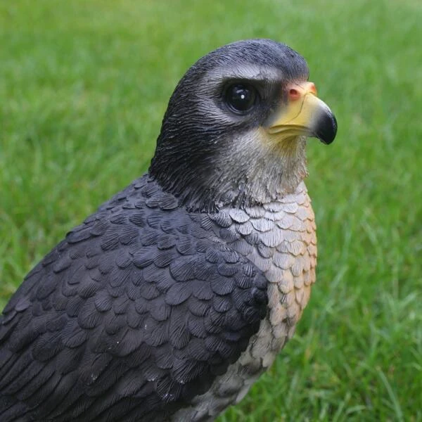 Valk Tuinbeeld 26 Cm 7 Valk Tuinbeeld 26 Cm - Afbeelding 5