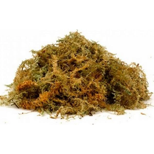 Veenmos Nieuw-Zeeland 3 Veenmos Nieuw-Zeeland