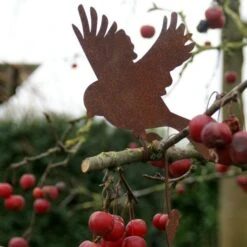 Vliegende Vogel Decoroest 9 Vliegende Vogel Decoroest -Oasis Winkel vliegende vogel decoroest 1515417264 2 600