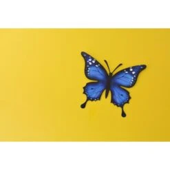 Vlinder Muurdecoratie - Metaal 30 × 25 Cm 11 Vlinder Muurdecoratie - Metaal 30 × 25 Cm -Oasis Winkel vlinder metaal 30 x 25 cm 1621335409 1 600