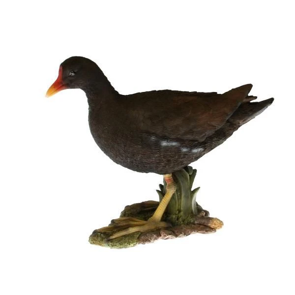 Waterhoen Tuinbeeld 5 Waterhoen Tuinbeeld - Afbeelding 3