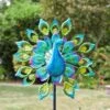 Windspinner Pauw 1 Windspinner Pauw -Oasis Winkel windspinner pauw 1563870532 1 600